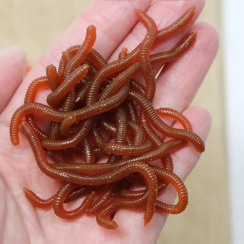 8cm Strong Scent Red Worm & Earthworm Soft Lures, Smelly Grub Simulation Bait, Scented Worm Lures for Freshwater Saltwater Fishing