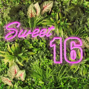 Sweet 16 Neon Sign - Party Essential for 16th Birthday Celebrations