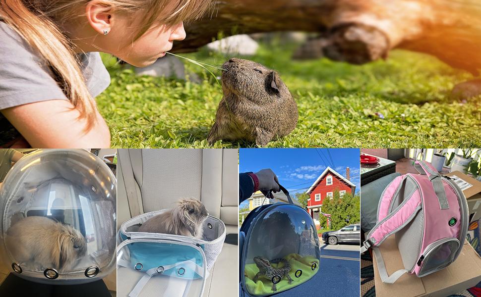 Guinea Pig Backpack, Space Capsule Bubble Window Small Animal Backpack for Guinea Pig, Bird Bunny Rabbit ASTRONAUT REPTILE TRAVEL BACKPACK