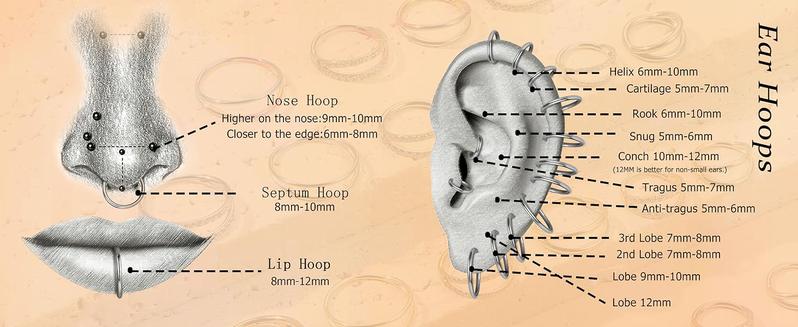 MILACOLATO G23 Titanium Nose Rings Hoops 16G 18G 20G Double Hoop Septum Click Nose Rings Lip Rook Lobe Tragus Helix Cartilage Daith Conch Earrings Clear CZ Paved Nose Piercing Jewelry for Women Men