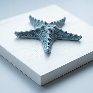 Tide and Tales 3D Beach Wall Art - Seashell with Starfish for Coastal Bathroom Decor, Ocean Inspired Decor for Bathroom, Coastal Bedroom, Living Room or Beach House, Set of 3 (6"x 6")