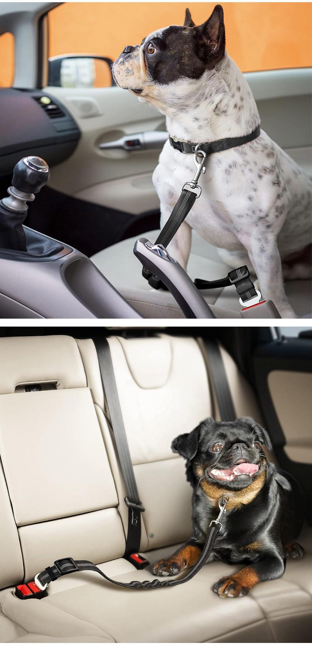 Pet car seat safety belt, elastic retractable dog safety rope, dog leash, reflective dog rope, vehicle-mounted pet supplies