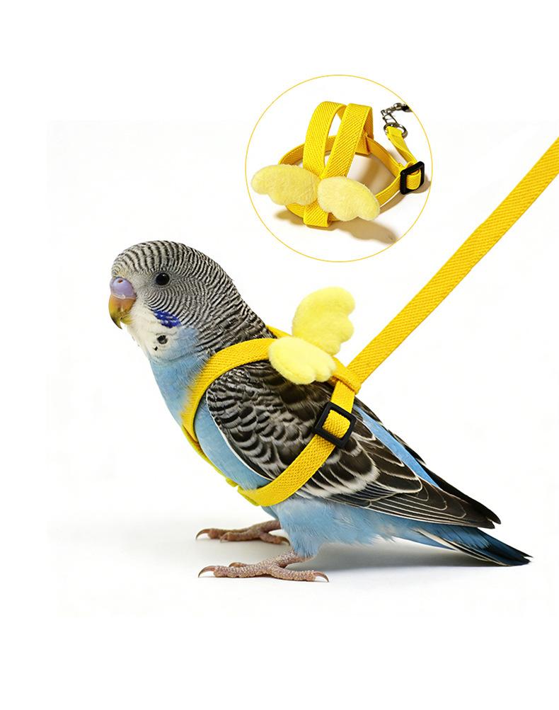 Bird parrot leash, cockatiel, budgerigar, lovebird traction rope, outdoor flight harness, bird walking supplies, extended leash