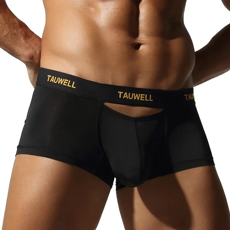 Men's solid color underwear,Cool silk sensation  comfortable ice-cool nylon thin sexy semi-transparent men's boxer briefs with u-convex pouch