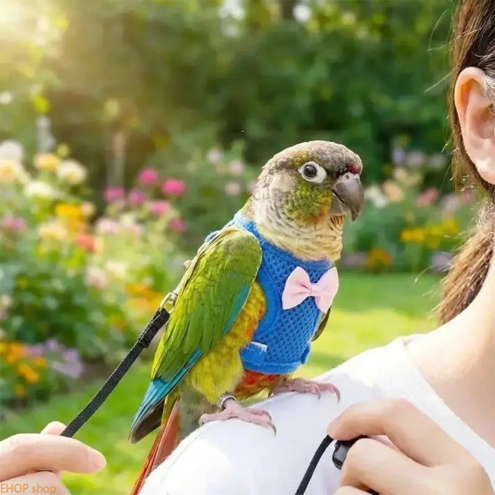 Parrot Harness Leash Set Adjustable Bird Flight Vest with Anti-Lost Training Rope Lightweight Comfortable Walking Strap for Budgies Sun Conures and Small Pet Birds Outdoor Training Travel Garden Walks Safe Everyday Pet Accessories for Bird Owners Beginner