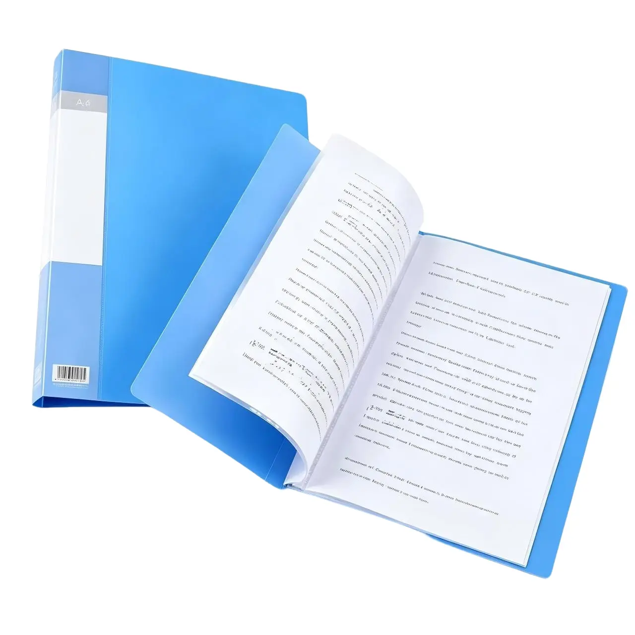 2 Pack A4 Display Book | 20 Pockets Clear Sheet Protector Folder
