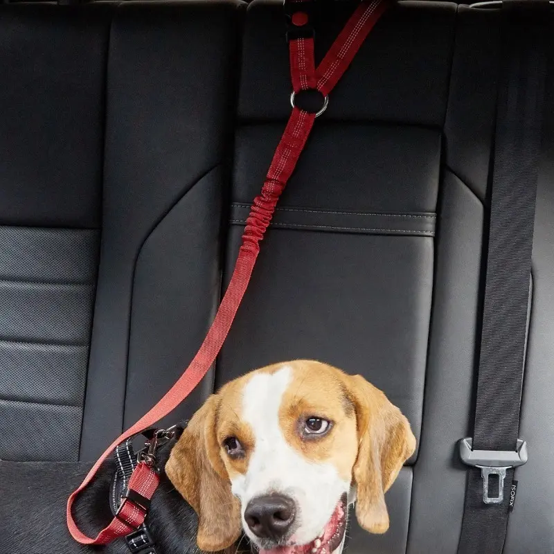 2-in-1 Car Restraint Dog Leash - Retractable Elastic Seat Belt Tether, Reflective Night Glow, Adjustable Durable, Practical for Road Trips & Daily Walking (Collars & Harnesses & Leads Accessory)