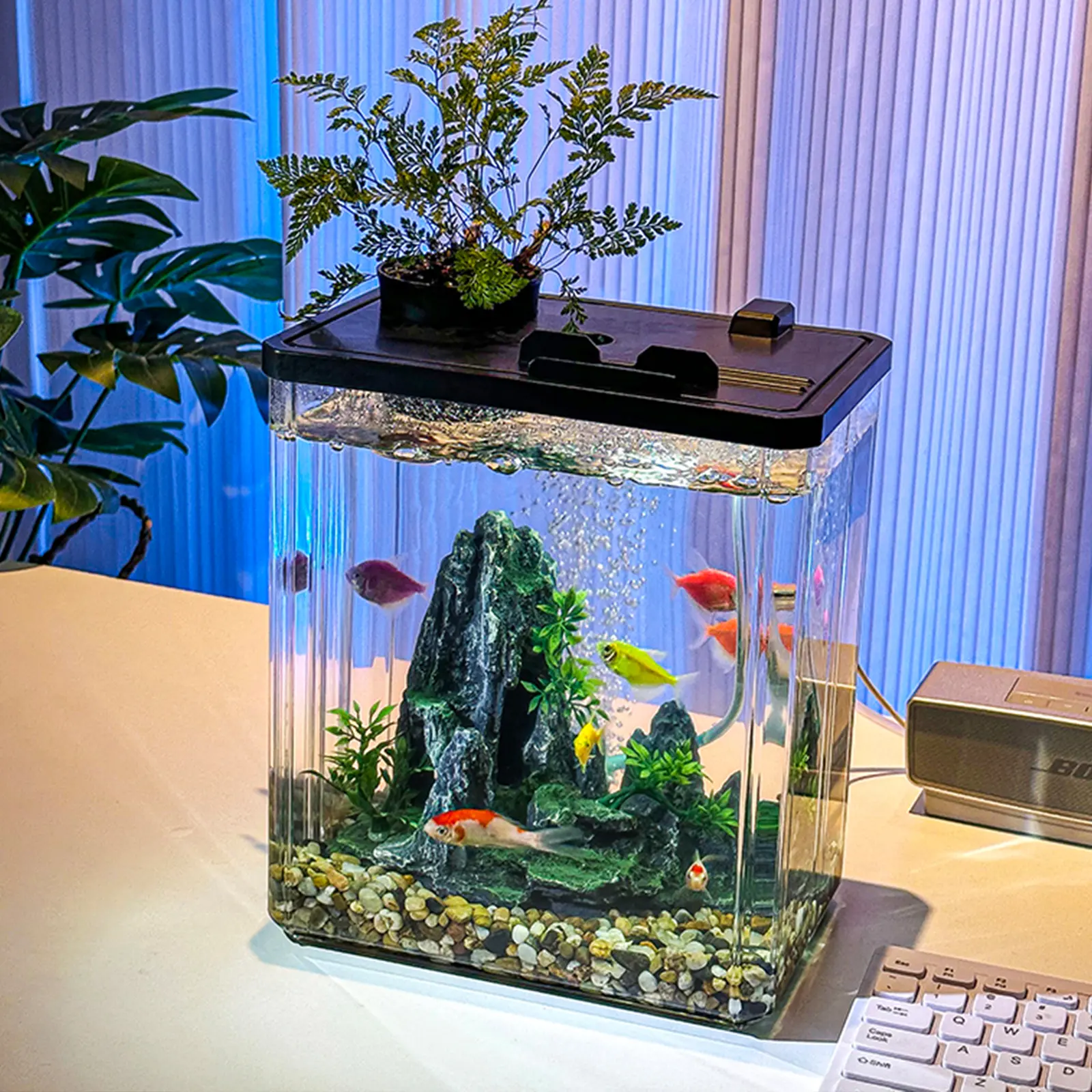 2.5 Gal Compact Desktop Aquarium Kit for Betta - LED Light, Air Pump, Lid, Hydroponic Cup Included - Pet Fish & Aquatic Supplies for Shrimp