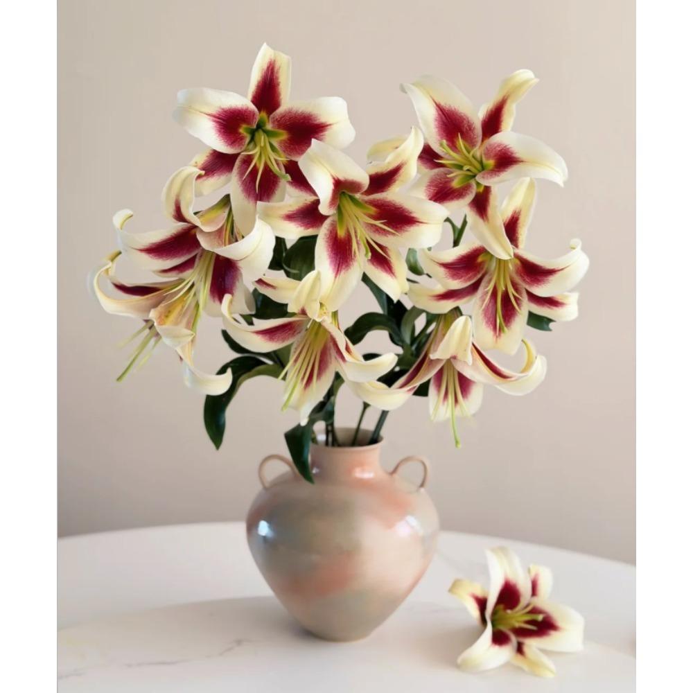 Wangchuan Autumn Water Lotus - Solid Bulbs + Bright Flowers + Compact Potted Flowers