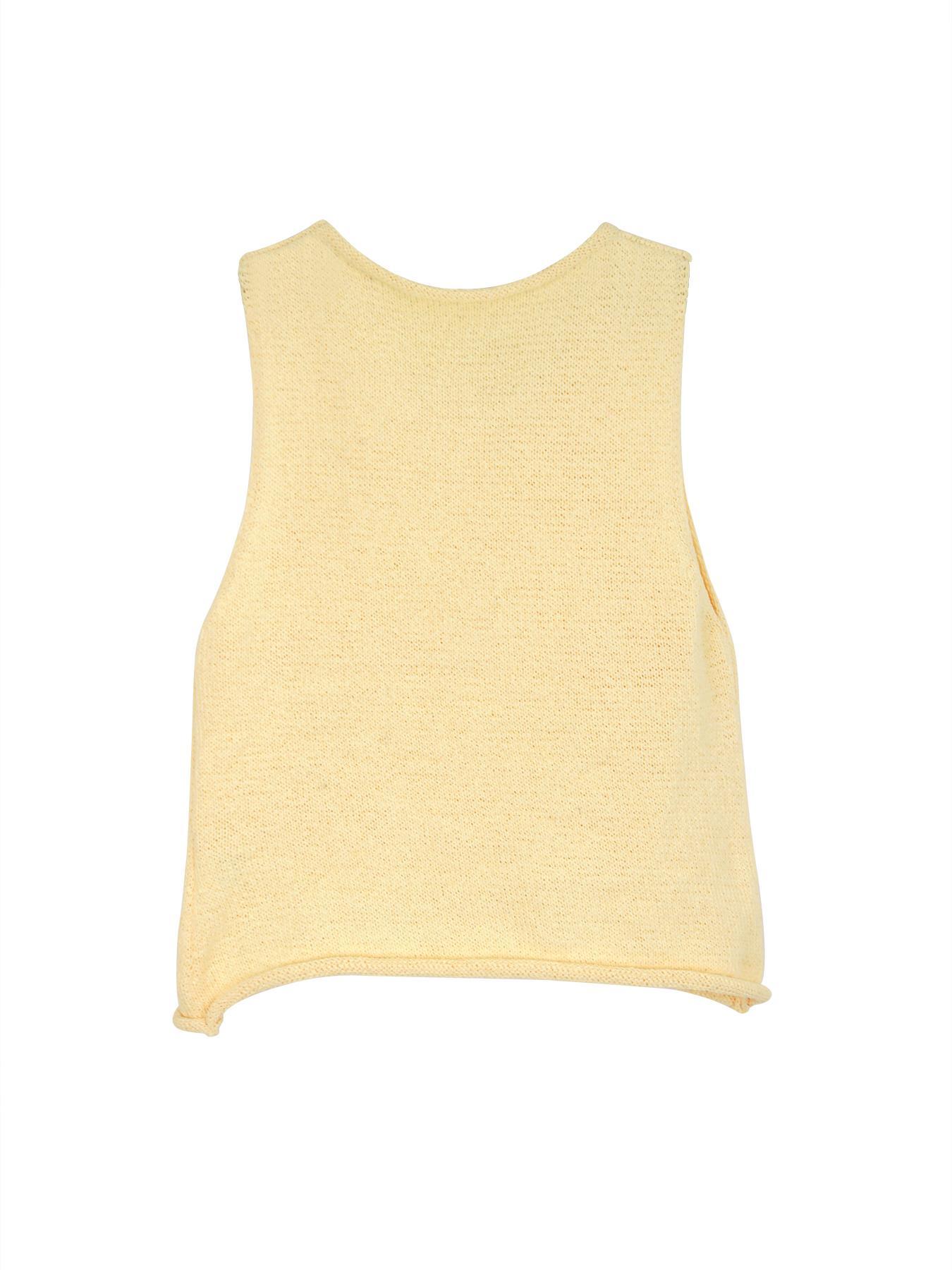 Women's Plain Round Neck Crop Sweater Vest, Casual Fitted Sleeveless Cropped Knit Top for Spring & Fall, Fashion Women's Knitwear for Daily Wear