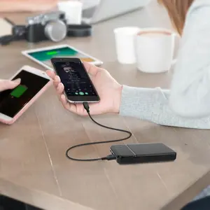 1 Pack Portable Fast Charging Power Bank, Optional 20000mAh / 30000mAh Large Capacity External Battery Pack with USB Charging Cable, Compatible with iPhone 15 14 13 & All iOS Smartphones