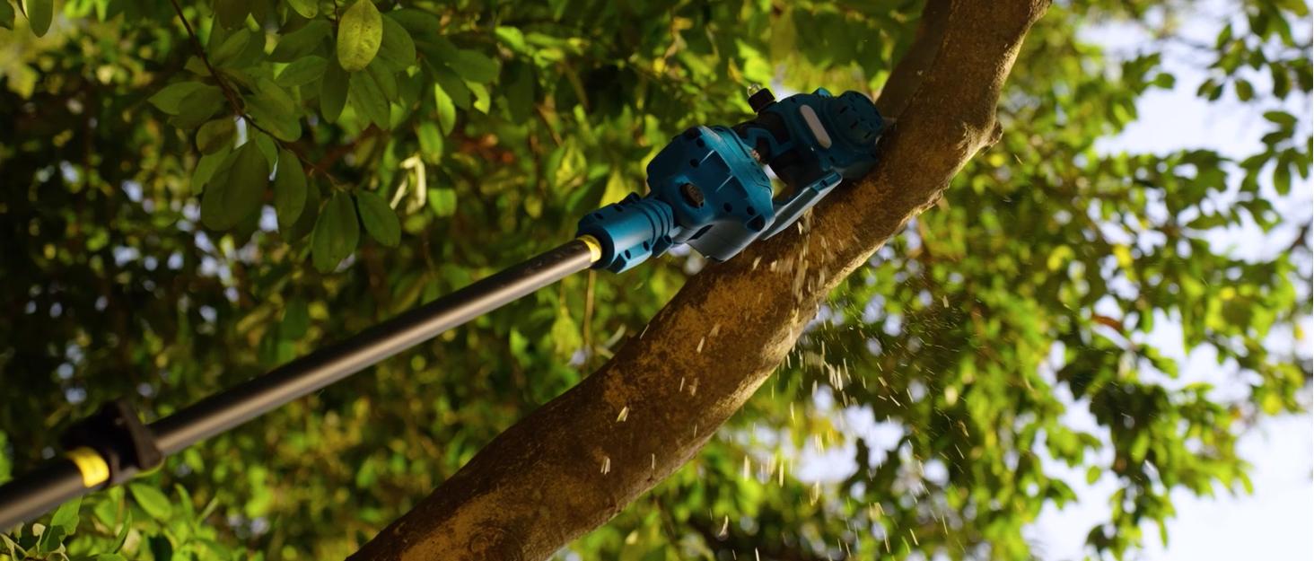 2 in 1 Cordless 8 inch Pole Saw, SeeSii Power Electric Polesaw for Tree Trimming with 2X4.0Ah batteries, Chain Saw with Extension Pole, Limb Branch Cutter Pruner CH800B #TikTokShopBlackFriday