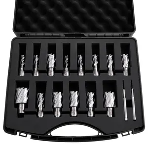 【DealsForYouDays】VEVOR Annular Cutter Set, 16 pcs Weldon Shank Mag Drill Bits Kit, 1" Cutting Depth, 7/16" to 1-3/8" Cutting Diameter, HSS, 14 Drill Bits with 2 Pilot Pins, Plastic Case, for Magnetic Drills, Steel