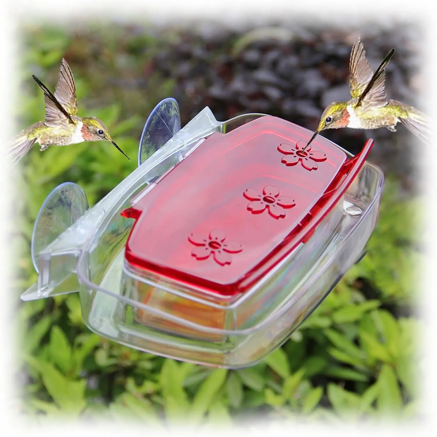 Window Hummingbird Feeder, Bird Feeding Tray with 3 Feeding Stations, Outdoor Hummingbird Perch, 8-Ounce
