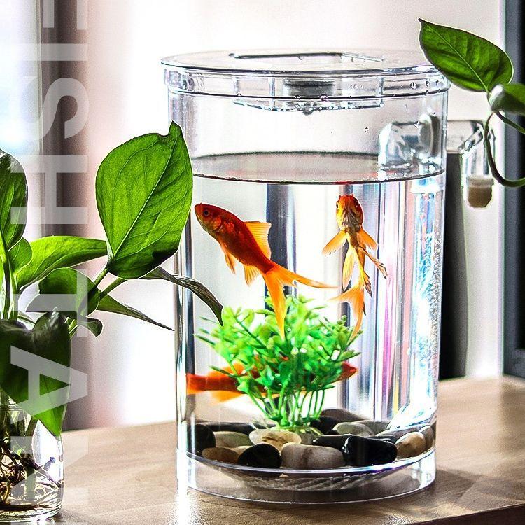 Douyu Fish Tank Tropical Small Fish Self Cleaning Aquarium Desktop Mini Micro Landscape Ecological Tank No Water Change Creative