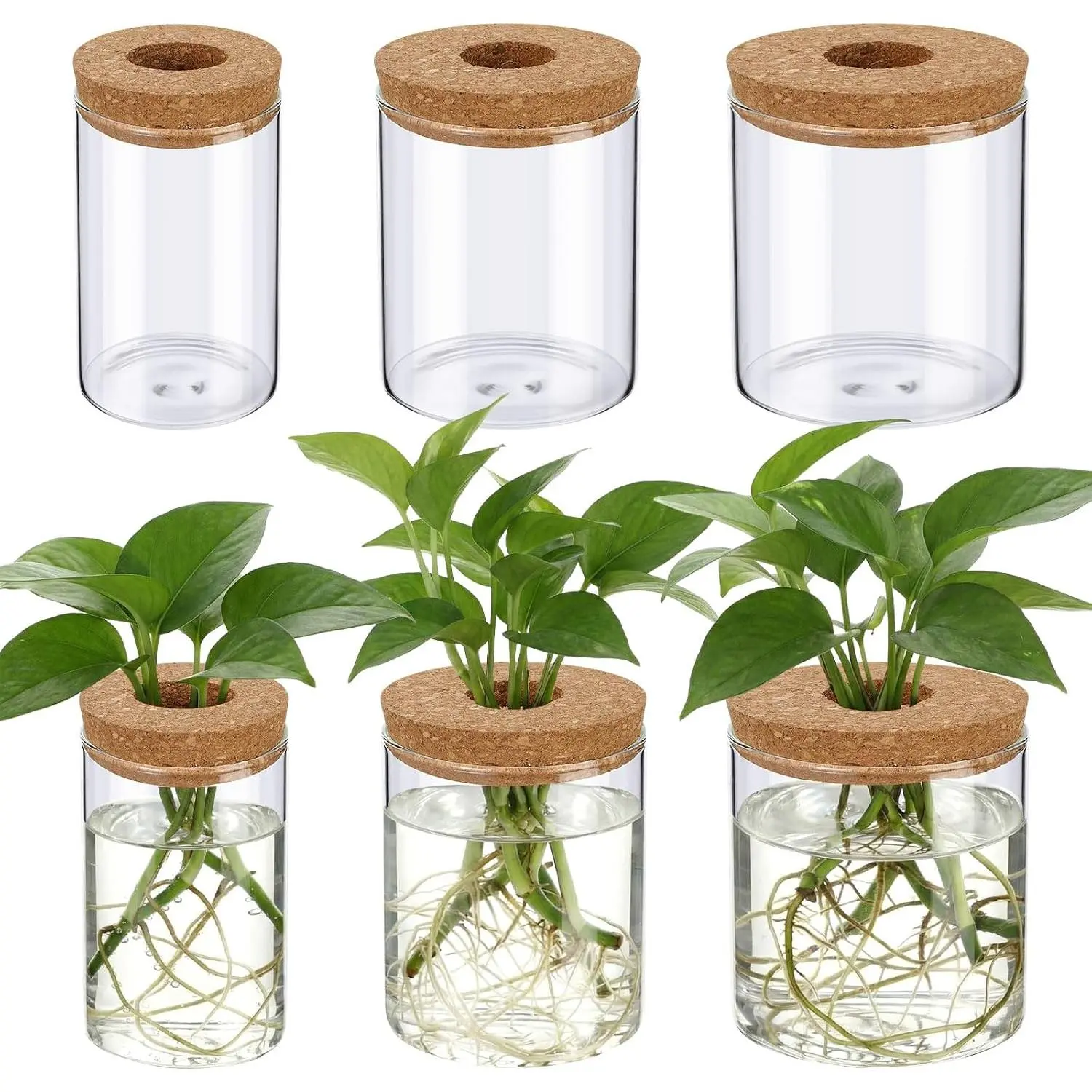 6 count Glass  Propagation Stations (2 Large + 2 Medium + 2 Small) Hydroponic Flower Vases Desktop  Terrarium Jar for Cuttings, for Living Room, Bedroom,  Decoration