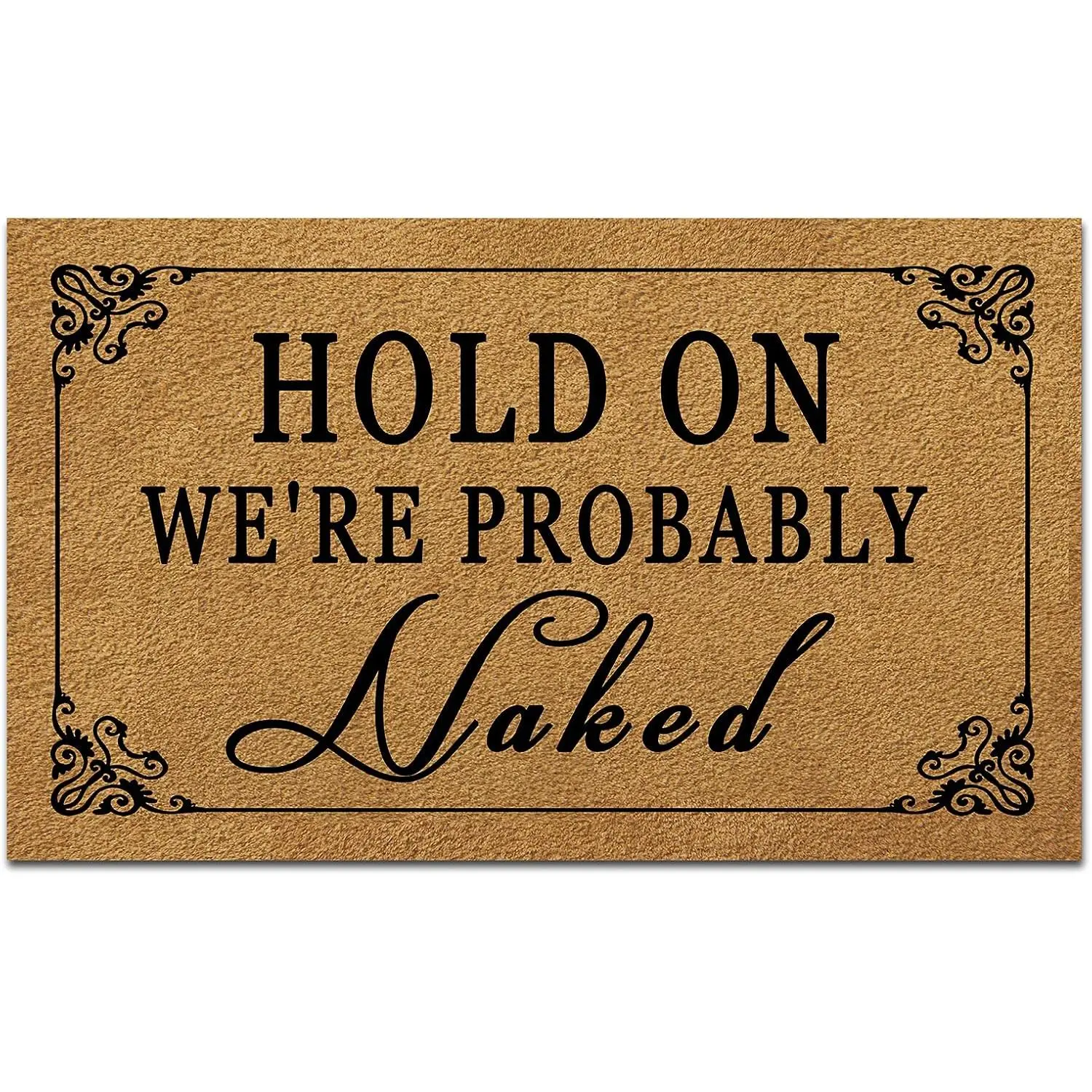 Funny Welcome Door Mats for  Decor (17.7 x 29.5 inch)  Mats with Anti-Slip Rubber  Kitchen Rugs Personalized Doormat for Entrance Way (Hold  We're Probably Naked)