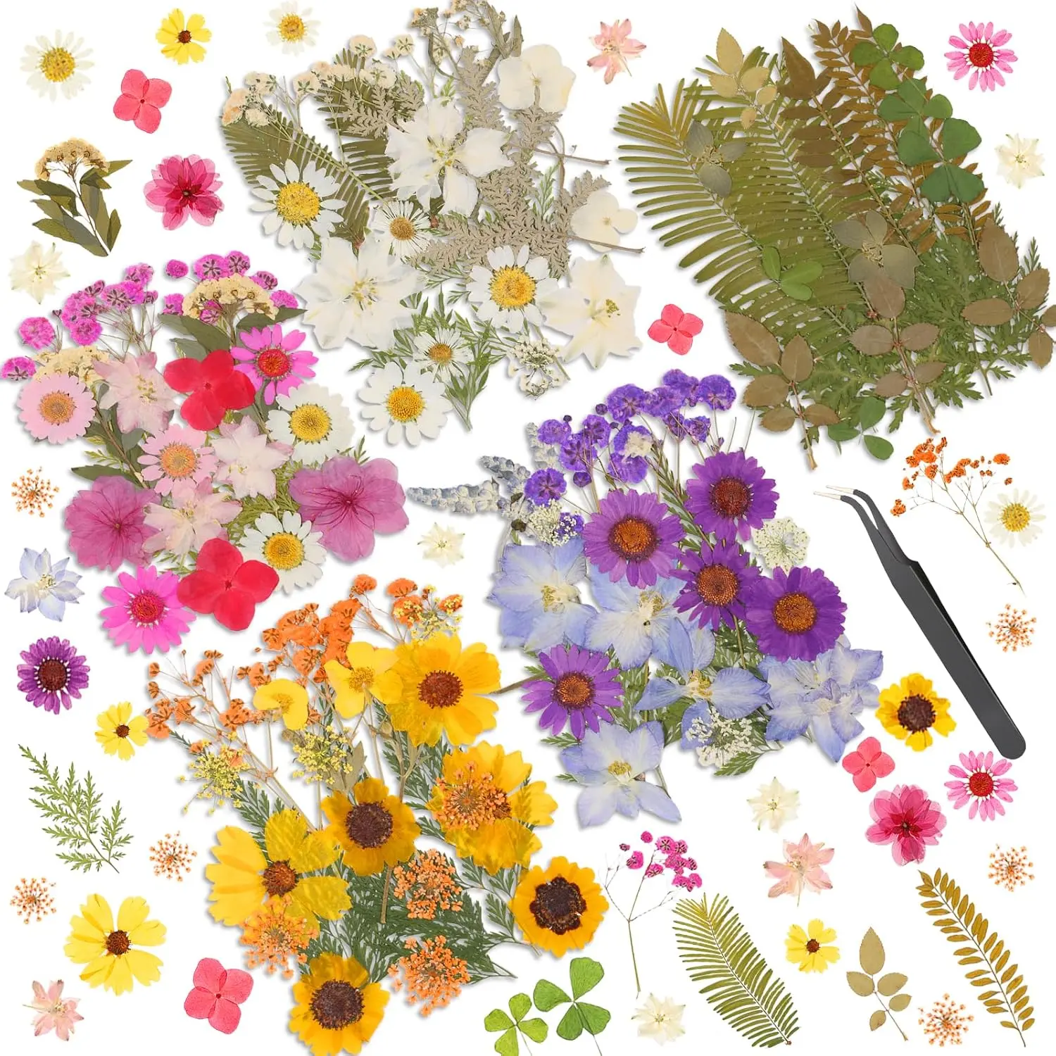 Dried Pressed Flowers Resin, Real Pressed Flowers Dry Leaves Bulk Natural Herbs Kit Scrapbooking DIY Art Crafts Epoxy Resin Jewelry Mold Candle Soap Making Nails Décor (Natrual Floral Leaves)