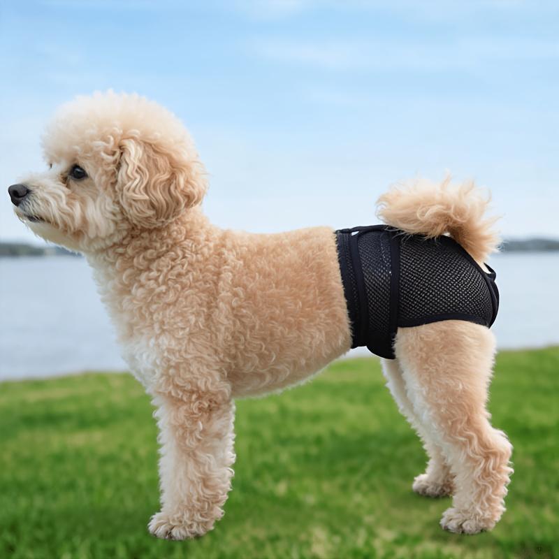 New Pet Female Dog Period Pants in 5 Colors, Comfortable, Leak-proof, and Breathable. Anti-harassment Modesty Pants, Reusable Dog Menstrual Pants, Dog Diapers. Suitable for Small, Medium, and Large Dogs. for All Seasons