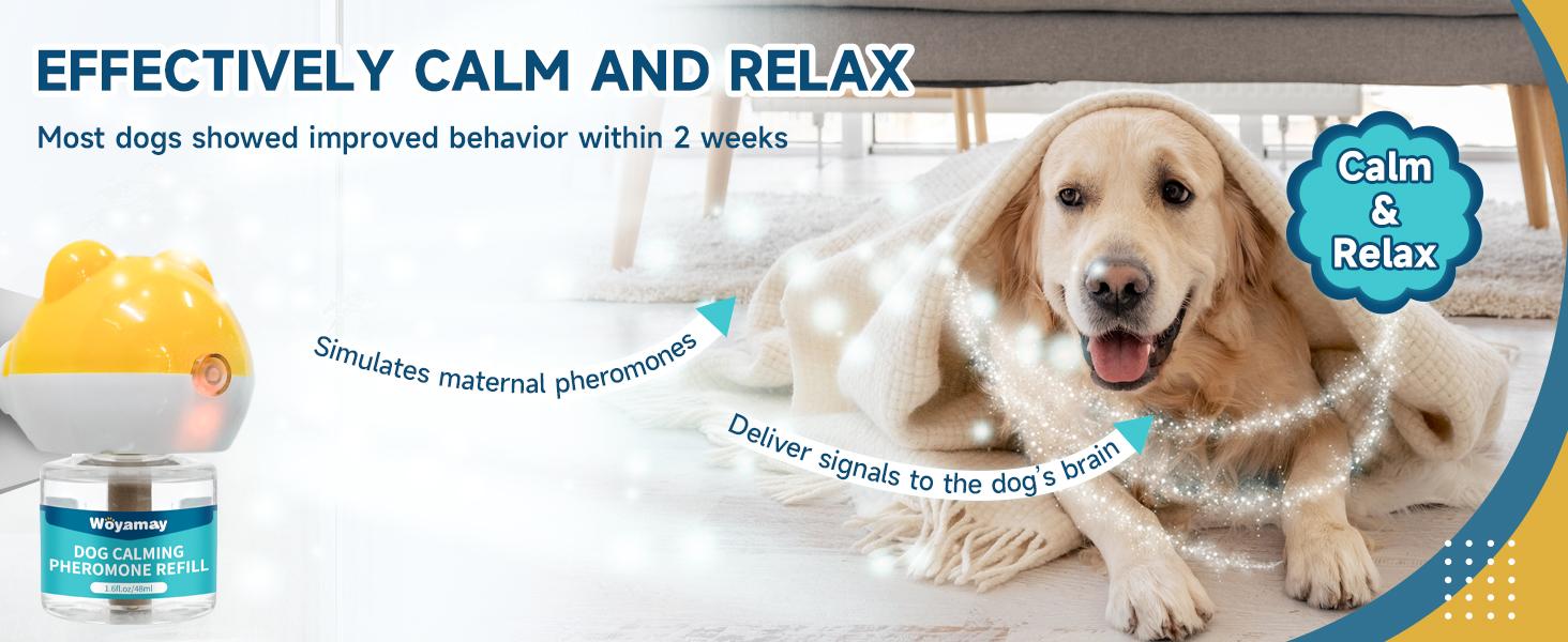 Dog Calming Diffuser - Dog Pheromones Calming Diffuser for Dog Anxiety Relief 6-in-1 Dog Pheromone Diffuser Kit with 2 Diffuser + 4 Refill 48ml Vial - 120 Days Pheromone Diffuser to Calm Dogs