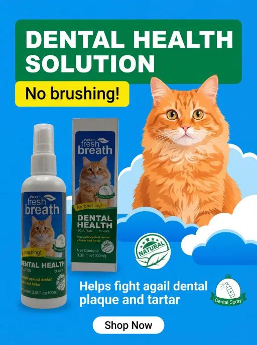 Paika Pet Cat Oral Spray, Liquid Form, No Ca Prop 65 Warning, Suitable for Cats, Ideal for Oral Care, Pet Health Supplement
