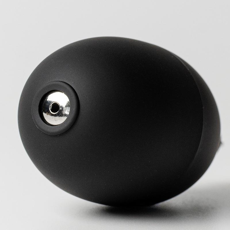 Digital Lens Cleaning Camera Computer Black Cleaning Tool Metal Air Blower Keyboard Watch Dust Removal Tiger