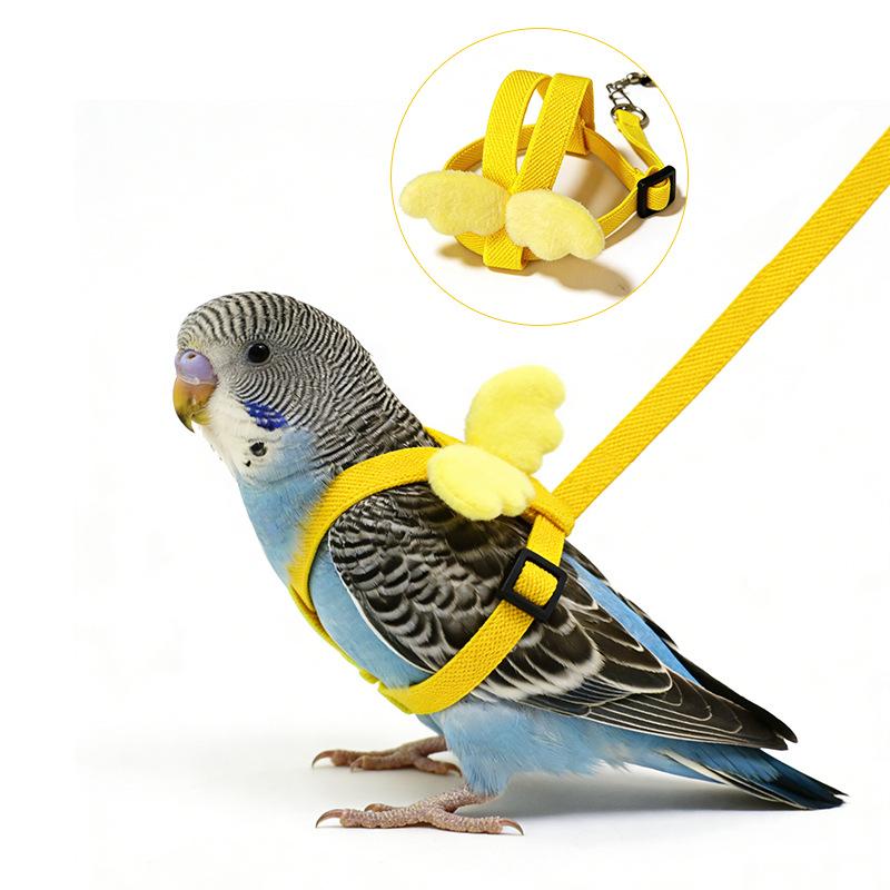 Parrot Flight Training Leash, Back Strap Wing Harness with Elastic Bungee Rope, Outdoor Walking Lead for Small Parrots, Escape-Proof Bird Leash for Budgie Cockatiel Lovebird Squirrel-proof Metal Feeding Station Cage Stand