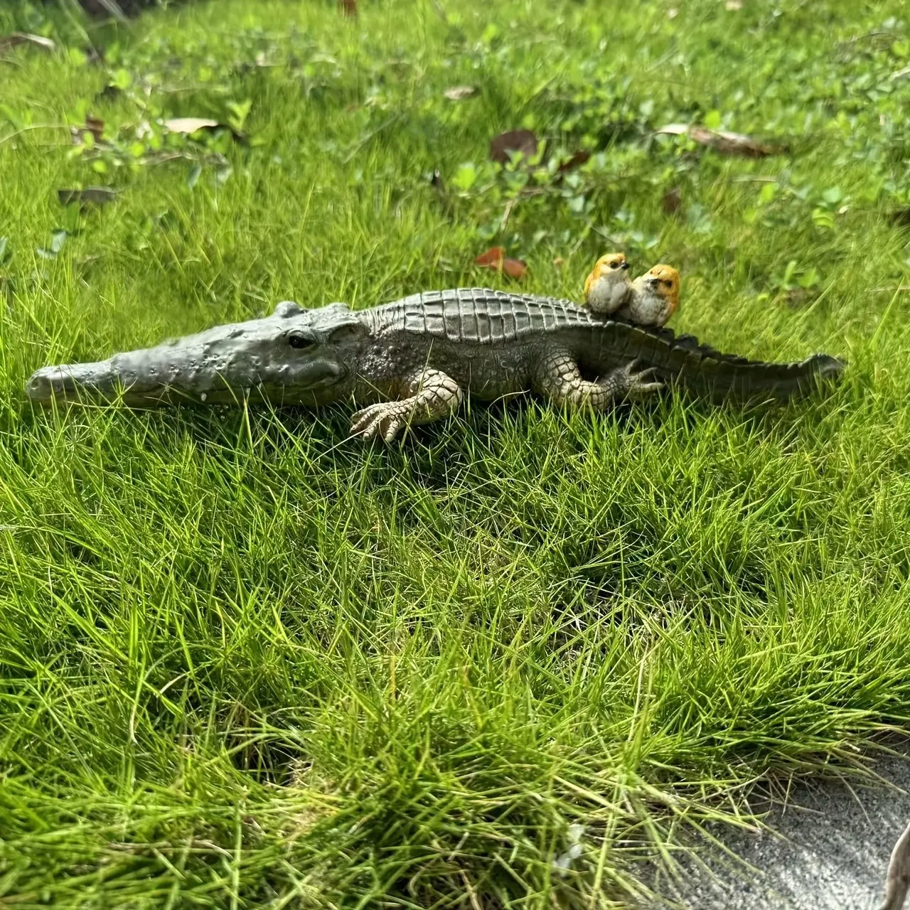 Resin Statue of Bird on Long-Billed Crocodile, Decorative Resin Craft for Home Office Café, Essential Gift for Reptile Enthusiasts