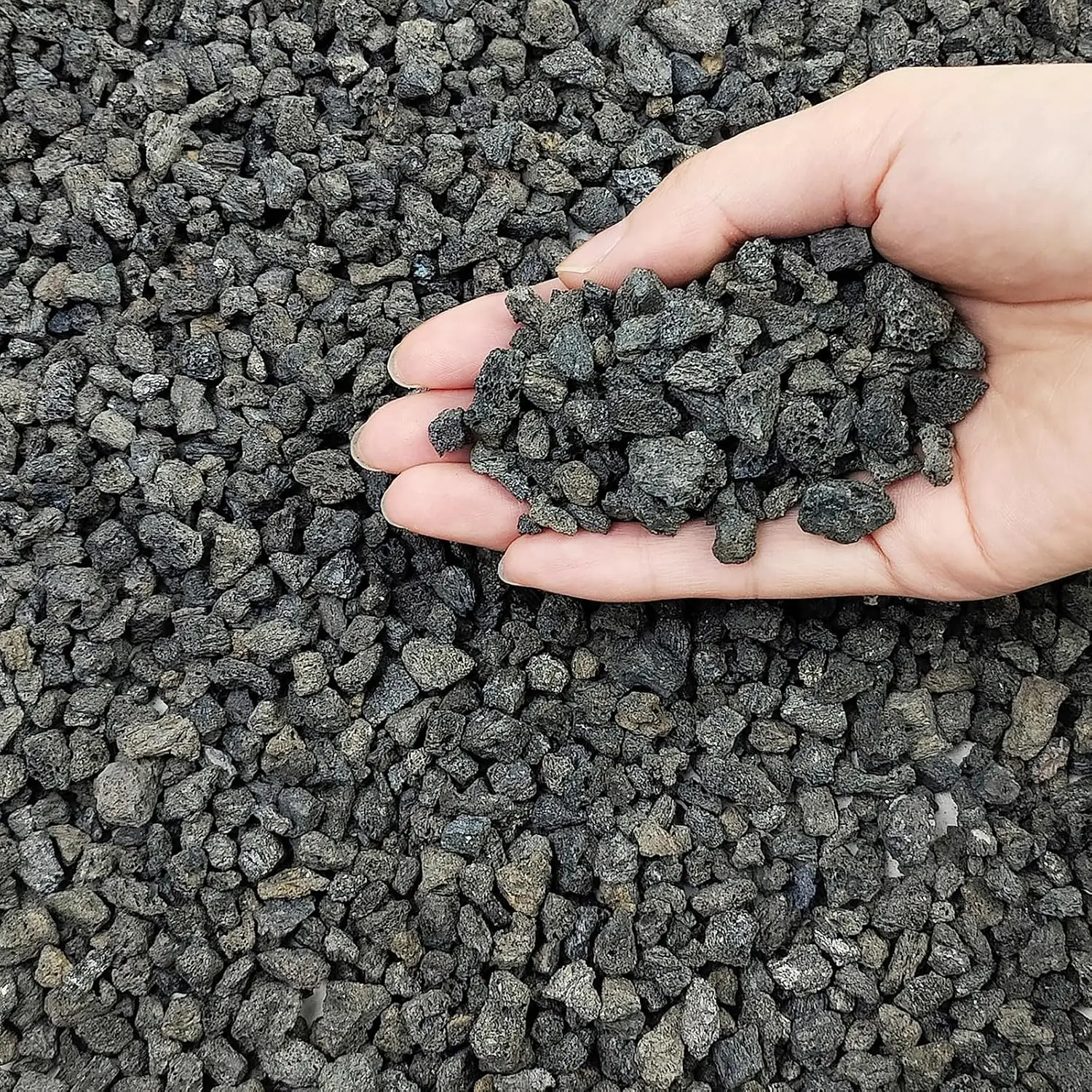2 lbs Small Black Lava Rocks for ,1/4 Inch Crush Volcanic Rock Pumice Soil Additive for Succulent Aquarium Cactus Bonsai Fire Pits and Garden Landscaping