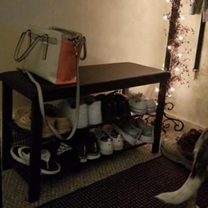 Entryway Shoe Rack with Cushioned Seat, Shoe Bench for Entry, 2 Shelves Storage Bench w/Faux Leather Top Bed Bench, Black