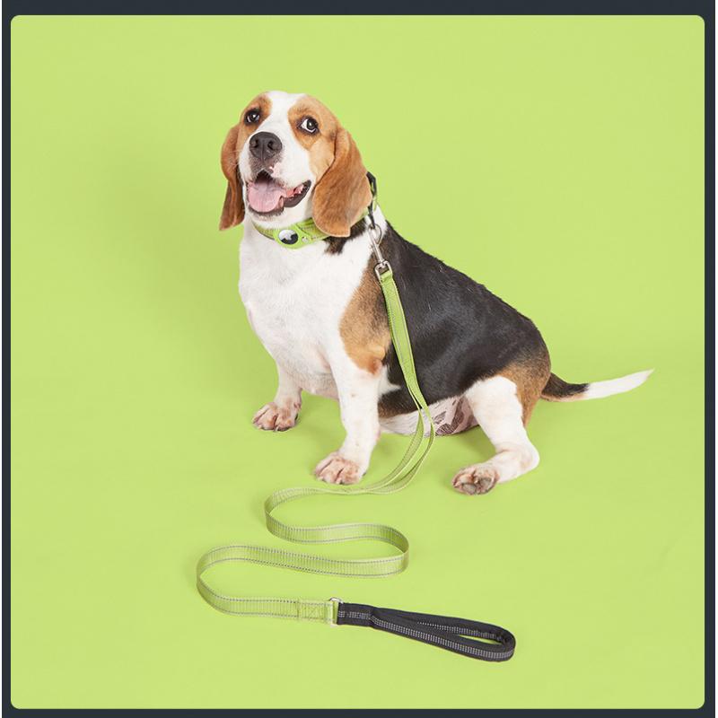 Dog GPS Tracking Collar for Medium & Large Dogs - Non-Chafing Anti-Lost Collar with Leash Attachment