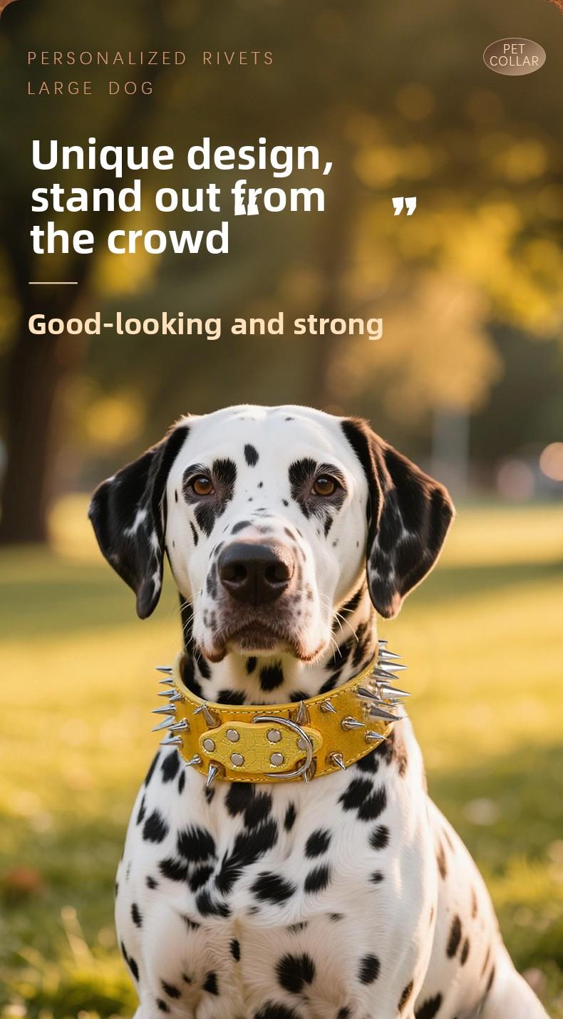 Wide Studded Dog Collar – Anti-Bite, Street Style, Heavy Duty & Tug Resistant