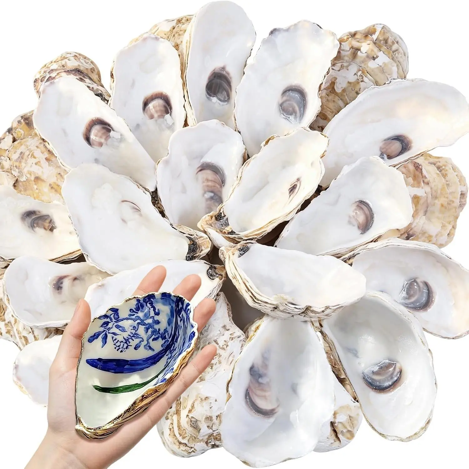 10PCS 4-5 Inch Concave Oyster Shells for Crafts, Large Natural Shells