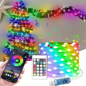 Smart 200led Fairy RGB String Lights, USB 20m/66ft Waterproof, APP Control, Indoor Outdoor Christmas Decor, DIY Color Change, Sync Voice Music, Timer