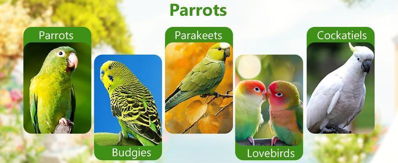 4PCS Bird Beak Grinding Stone - Parrot Cage Perch Foot Trimmer Chew Toys