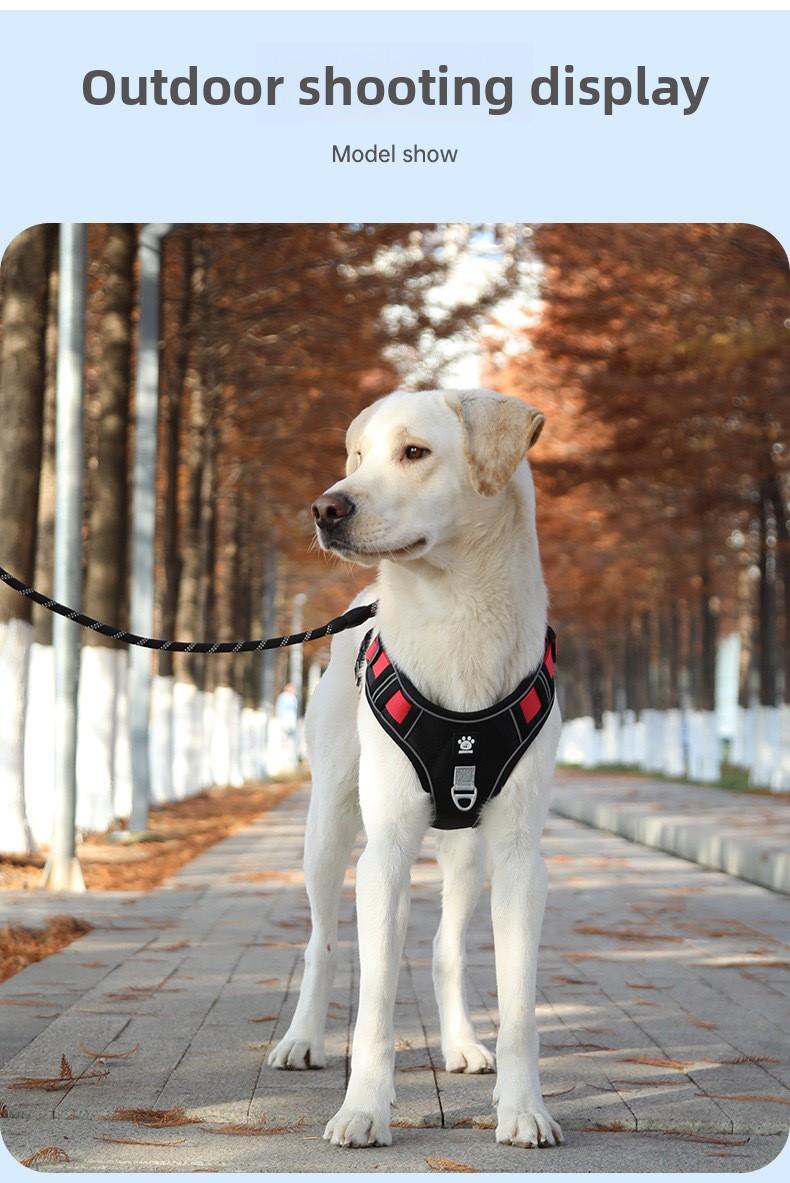 Cross-border large dog leash, anti-shock dog harness, reflective dog walking leash, vest-style collar for medium and large dogs