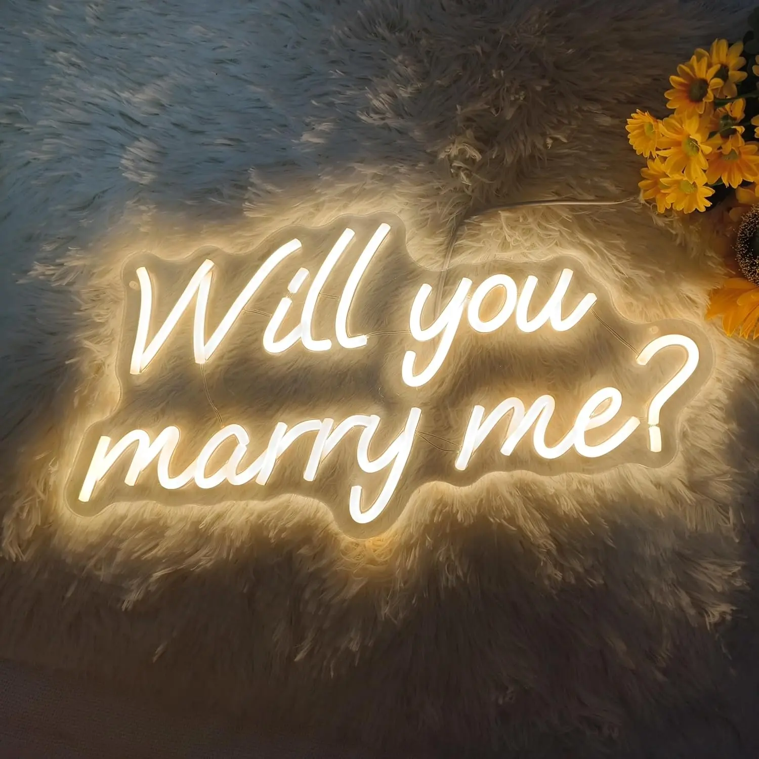 Will You Marry Me Neon Sign, Warm White Light Up Letters, 16.5 x 8.3 inch Wedding Proposal Home Decor Supplies