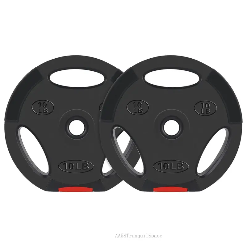 Standard 10-Pound Olympic Weight Plates Set, Black Pair - 10 lb Each (2 Plates)AA58TranquilSpace