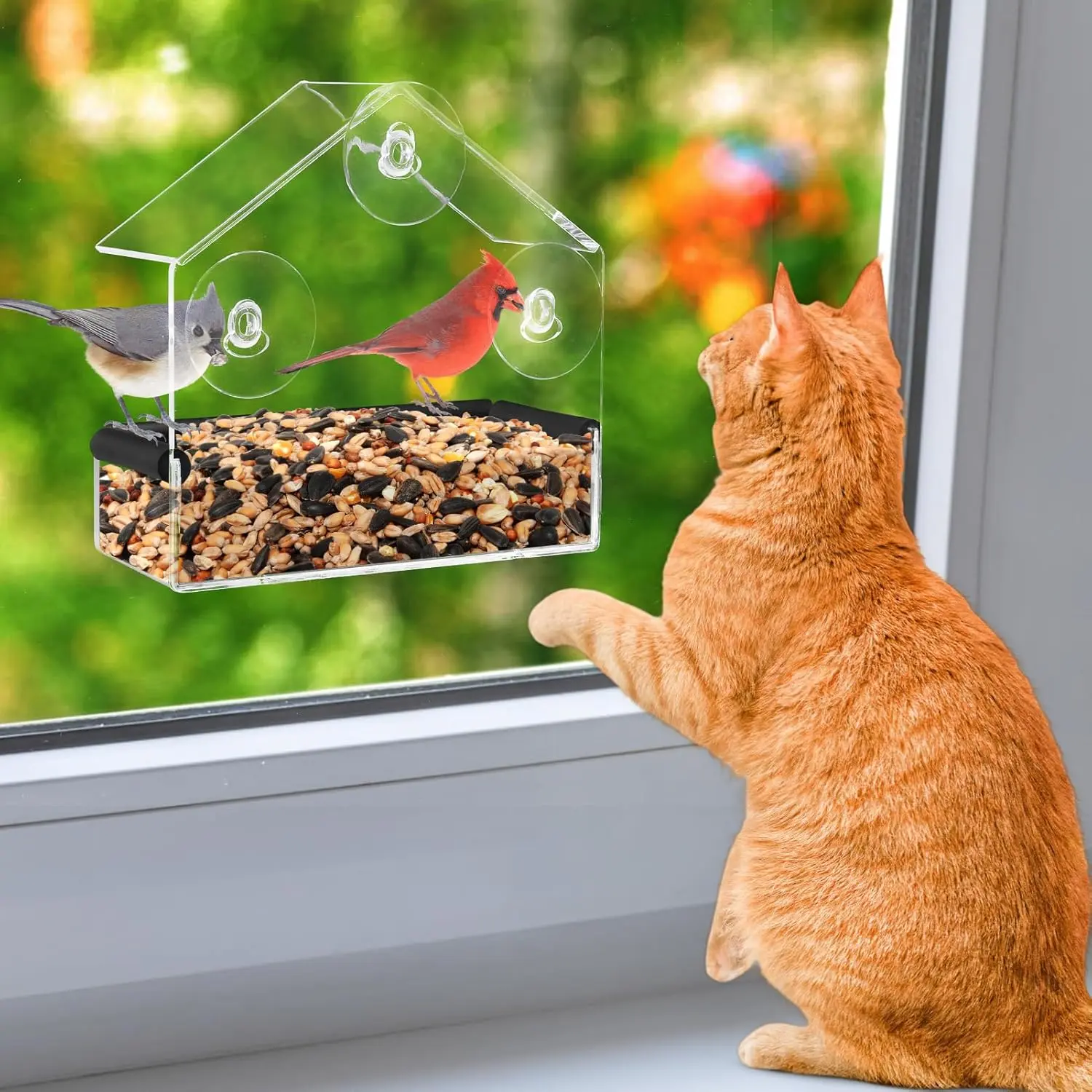 Outdoor Window Bird Feeder for Cats Viewing - Clear Bird Feeder with Strong Suction Cup, Cat Perch Accessories for Entertaining Watching