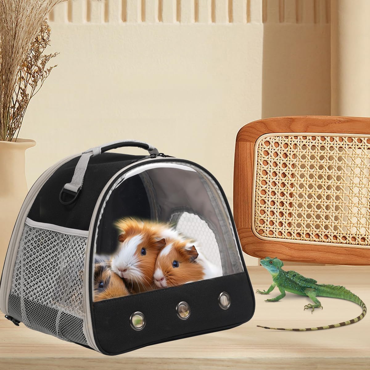 Bearded Travel Carrier,Lizards Carrier, Small Animal Travel Carrier for Sugar Glider Hedgehog Rat Parrot Bird Guinea Pig, Portable Guinea Pig Travel Carrier for 2 (Carrier)