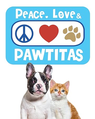 Pawtitas Reflective Cat Collar with Safety Buckle and Removable Bell Cat Collar Kitten Collar Purple Orchid Cat Collar