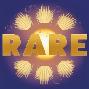 Rare Store Rare Store