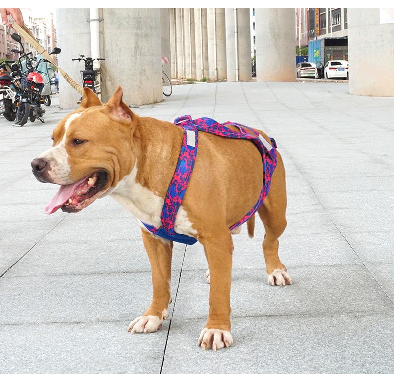 No-Pull Dog Skijoring Harness, Heavy Duty Reflective Dog Weight Pulling Harness for Canicross, Bikejoring, Skiing, Training, Walking, Adjustable Padded Dog Sled Harness for Medium Large Dogs