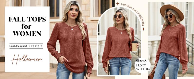WIHOLL Womens Tops Dressy Casual Long Sleeve Shirts for Women Business Casual Outfits Lightweight Fall Sweaters Warm