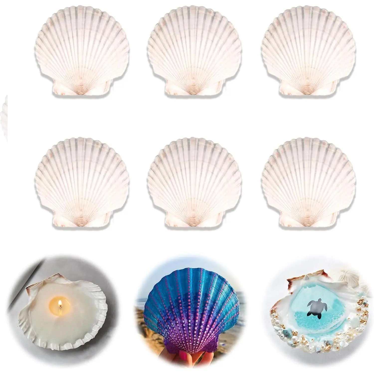 6 count  Shells for Crafts 4''-5''  White Large Shells Decoration for DIY Craft Painting,  Decor, Baking and Beach, Wedding Party Decoration