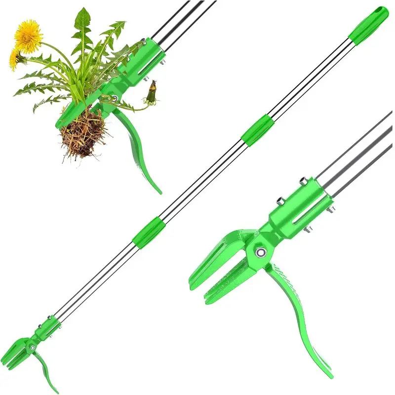 Adjustable Stand Up Weed Puller Tool - 35-50" Long Handle Foot Pedal Puller with 4-Claw Steel Head for Dandelions, Lawn, Garden