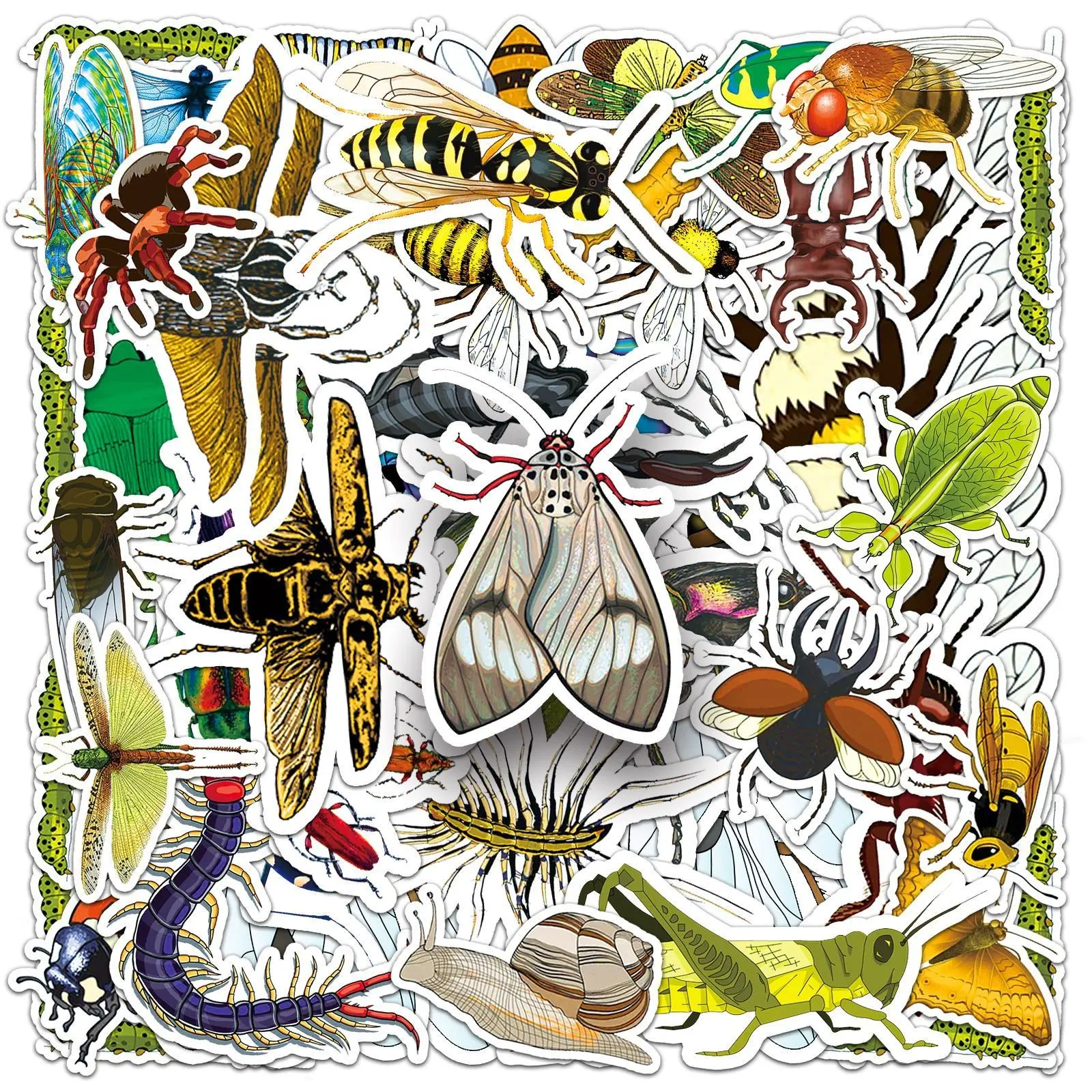 60 Insect Stickers, Waterproof Durable, Multiple Species, Phone Decor, Scrapbook, Science Handbook, Nature Theme Creative