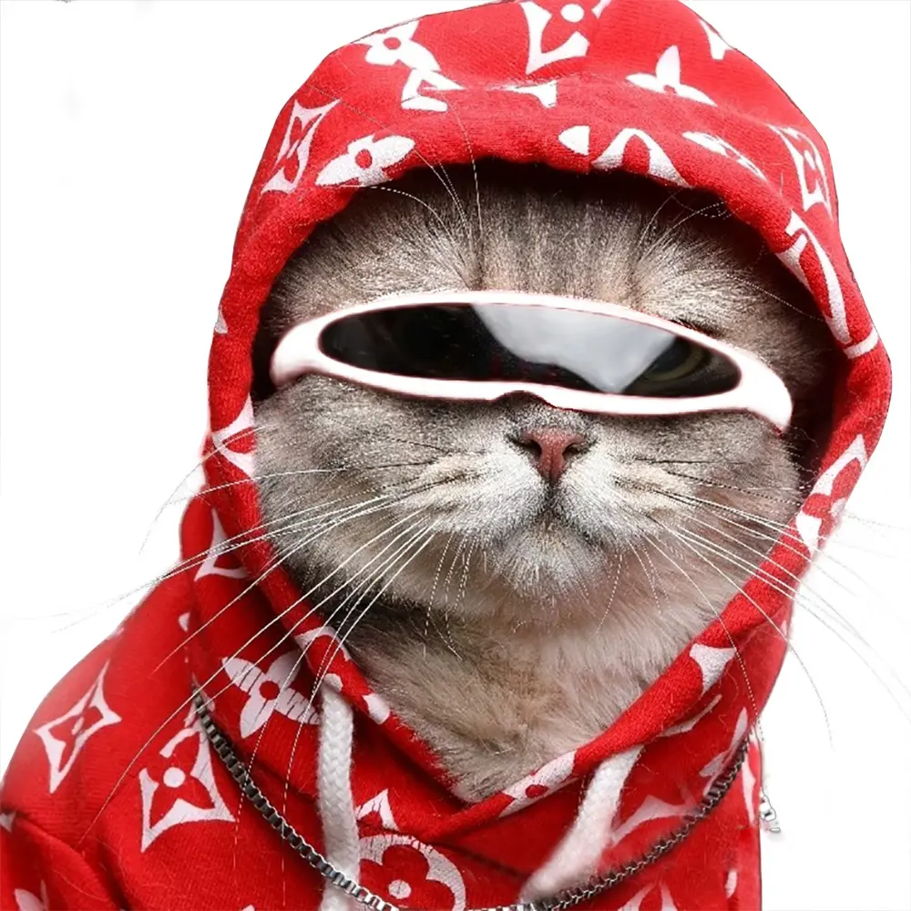 Plastic Pet Sunglasses for Dogs & Cats, Stylish Outdoor Eyewear with Sun Protection - Single Pair, Photo Props, Sports & Outdoor, No