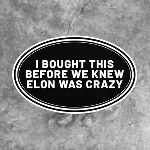 I Bought This Before We Knew Elon Was Crazy Car Sticker, Waterproof Vinyl Decals for Car Body, Windows, Windscreen, Bumper, Perfect for Tesla Owners