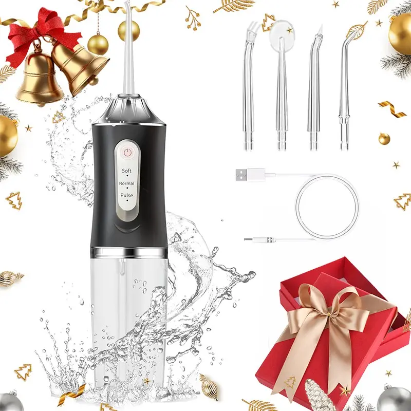 Electric Portable Water Flosser, 3 Modes, 4 Replacement Nozzles, Oral Care Tool, Daily Use, Outdoor Trip, Holiday Gift